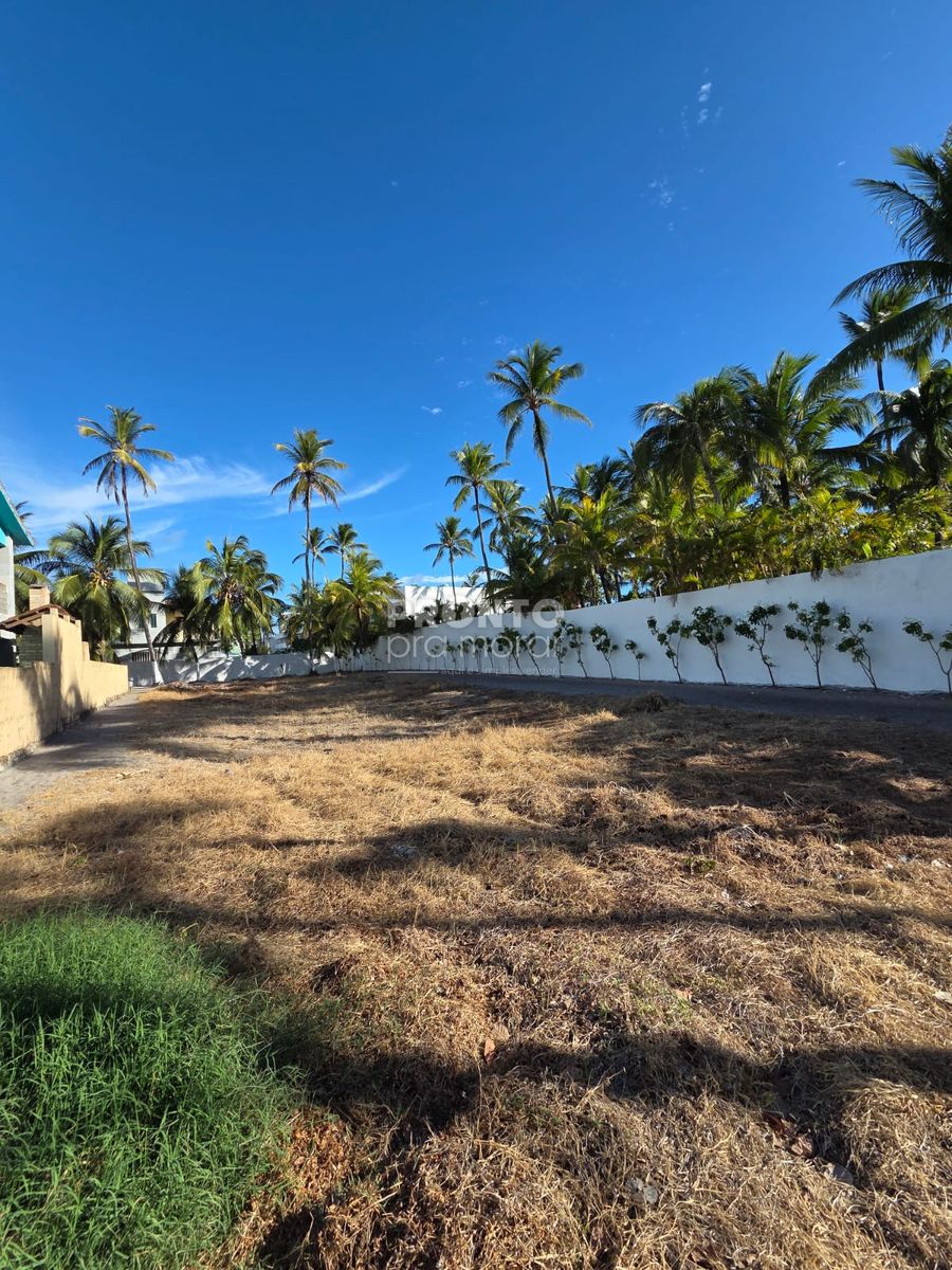 Lote/Terreno/Condomínio em Cupe - Leve Imoveis