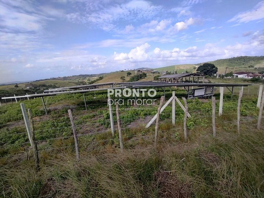 Apartamento, 4 quartos, 265 m² - Foto 2