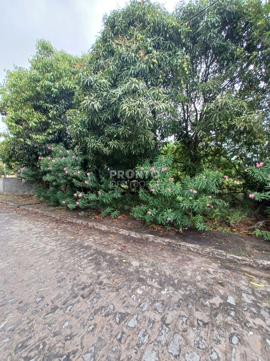 Terreno à venda, 900m² - Centro,Ipojuca