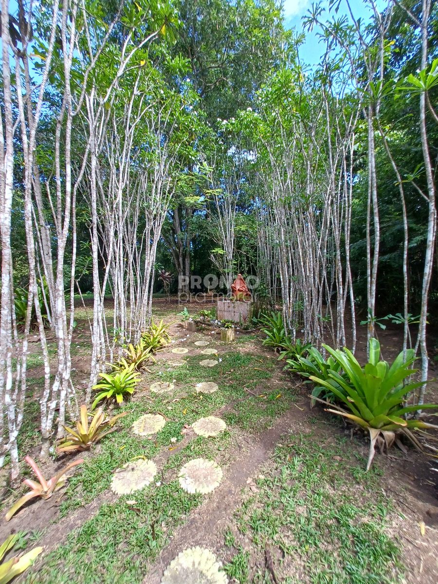 Chácara, 4 quartos - Foto 2