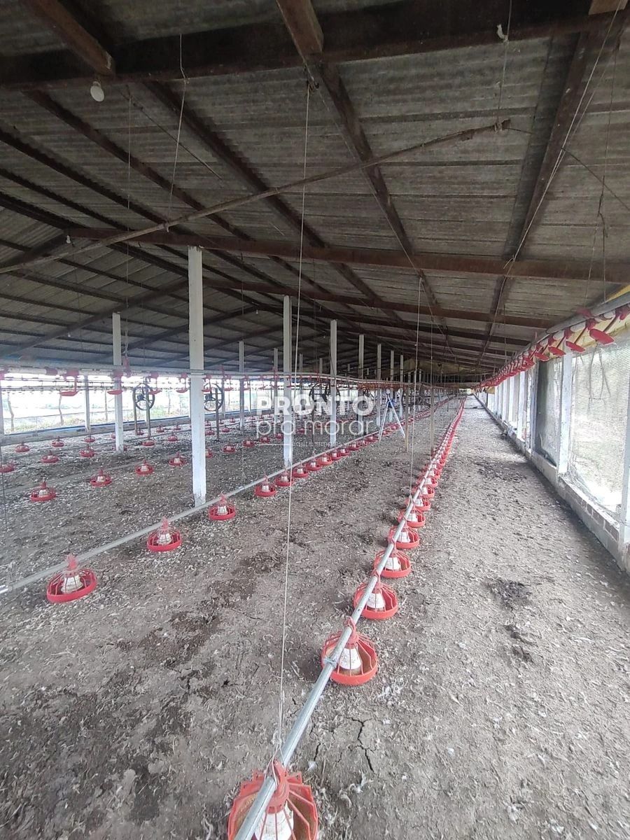 Apartamento, 4 quartos, 265 m² - Foto 3