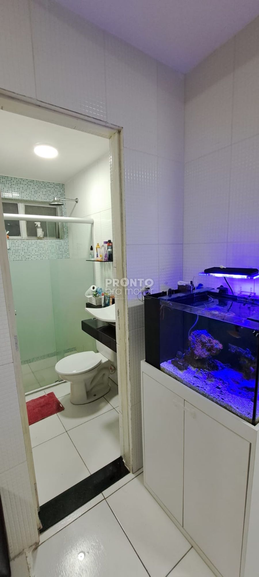 Apartamento, 2 quartos, 55 m² - Foto 3