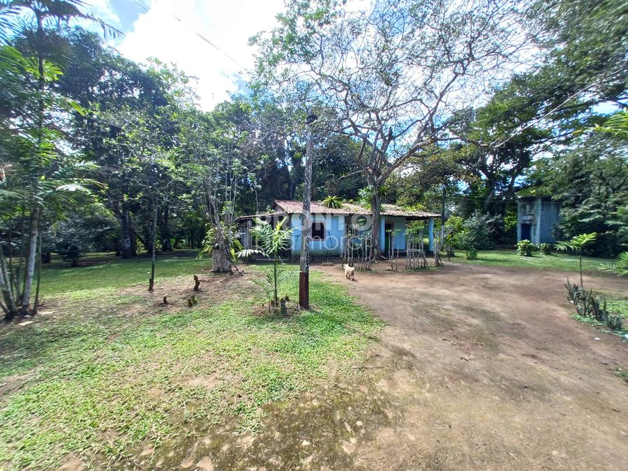 Chácara, 4 quartos - Foto 5